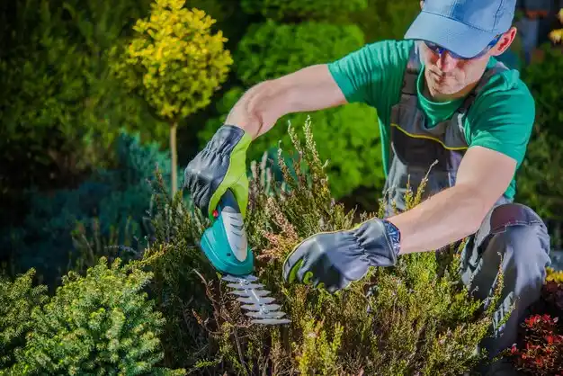 landscaping services Rawls Springs